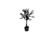 b23ds001.dwg