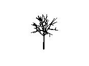 b23ds021.dwg