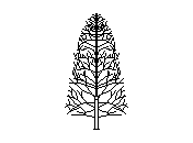b2vln024.dwg
