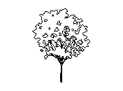 b2vls014.dwg