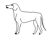 c1vln013.dwg