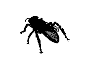 c23dn003.dwg
