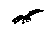 c23dn025.dwg