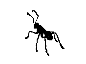 c23dn034.dwg