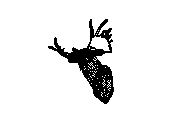 c23dn046.dwg