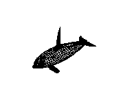c23dn068.dwg