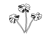 d3vln064.dwg