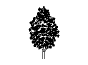 d3vln069.dwg