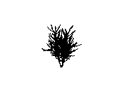 d43dn009.dwg