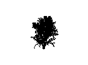 d43dn018.dwg