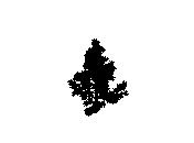 d43dn025.dwg
