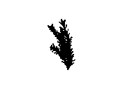 d53dn009.dwg