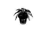 d53dn011.dwg