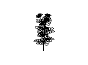 d53dn049.dwg