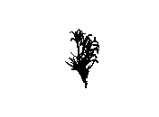 d53dn058.dwg