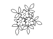 d5pln001.dwg