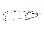 A4PLS025.dwg