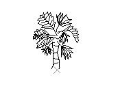 B2VLN007.dwg
