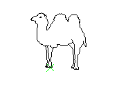 C1VLN003.dwg