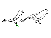 C1VLN007.dwg