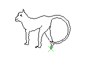 C1VLN019.dwg