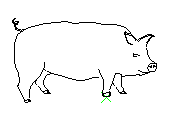 C1VLN021.dwg