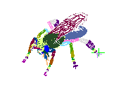 C23DN003.dwg