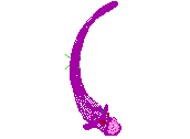C23DN017.dwg