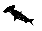 C23DN033.dwg