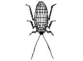 C23DN060.dwg