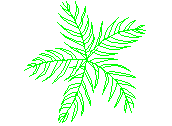 D3PLN004.dwg