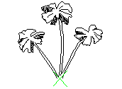 D3VLN064.dwg