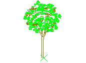 D3VLN070.dwg