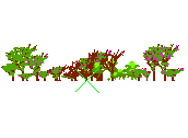 D43DN005.dwg
