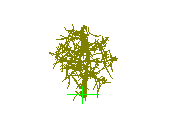 D43DN013.dwg