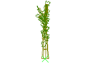 D43DN019.dwg