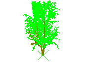 D43DN020.dwg