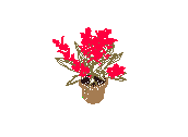 D53DN022.dwg