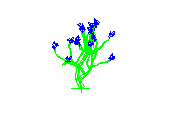 D53DN027.dwg