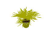 D53DN039.dwg