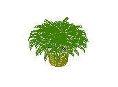 D53DN041.dwg