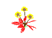 D53DN054.dwg