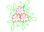 D5PLN001.dwg