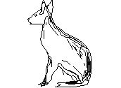 MARA.dwg