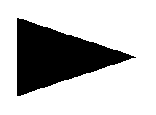 LARGE ARROW FILLED.dwg