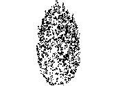 AR-ARBUS.dwg