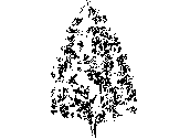 AR-PIN~1.dwg