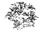ARB-AP.dwg