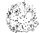 ARB-DP.dwg