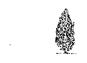 ARB-VP~1.dwg